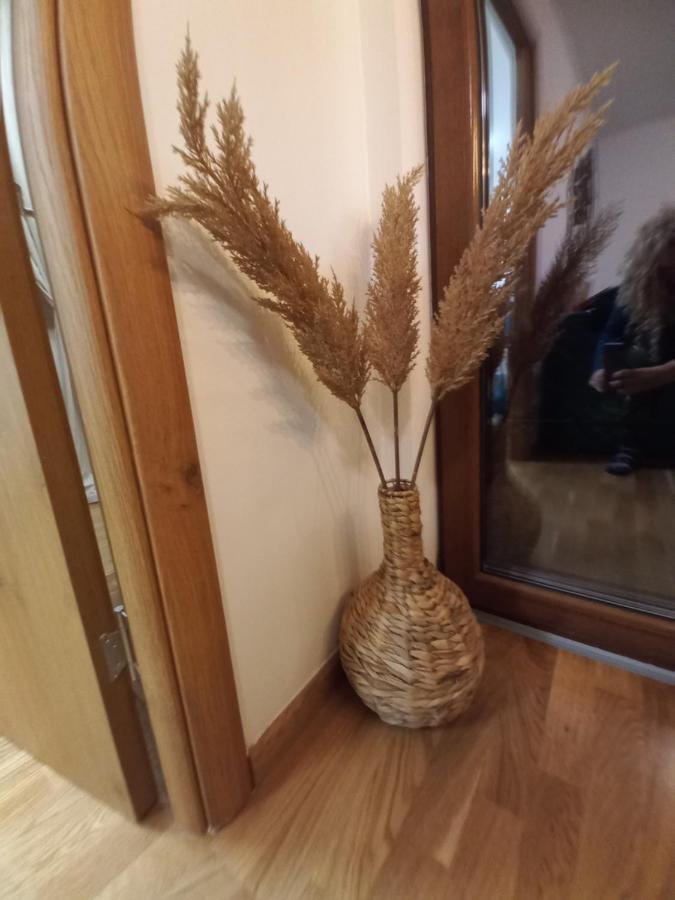 Zlatibor Apartman Luxury & Spa Dijana Exterior foto